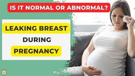 leaking colostrum at 20 weeks|Leaking Milk During Pregnancy: When and Why It Happens